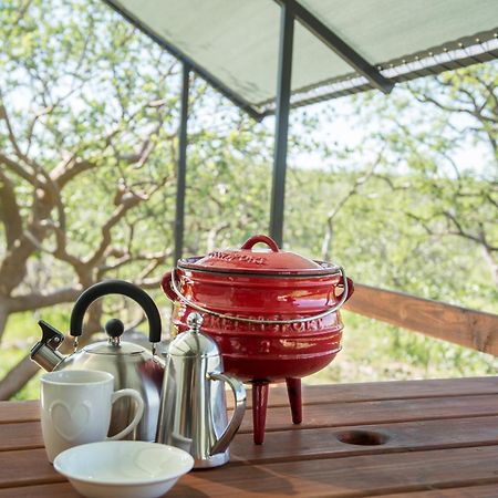 Etosha Safari Camping2Go Okaukuejo Værelse billede