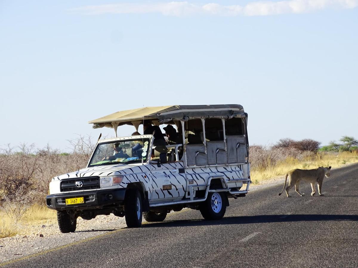 Etosha Safari Camping2Go Okaukuejo Eksteriør billede