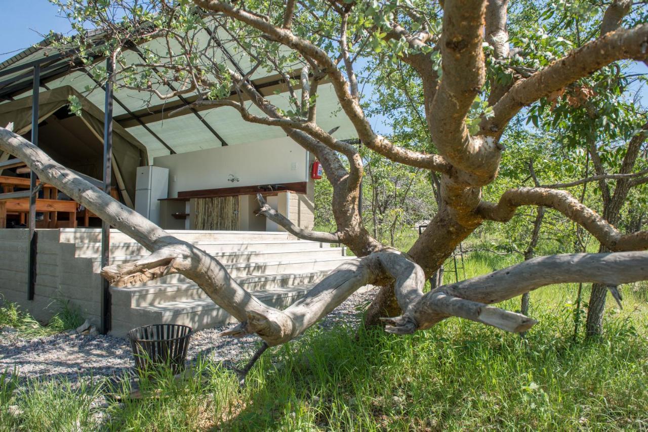 Etosha Safari Camping2Go Okaukuejo Eksteriør billede